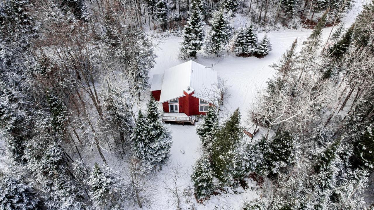 Les Chalets Tourisma - Chalet Dans Les Bois Avec Lac Prive - Le Colibri Saint-Raymond Eksteriør billede